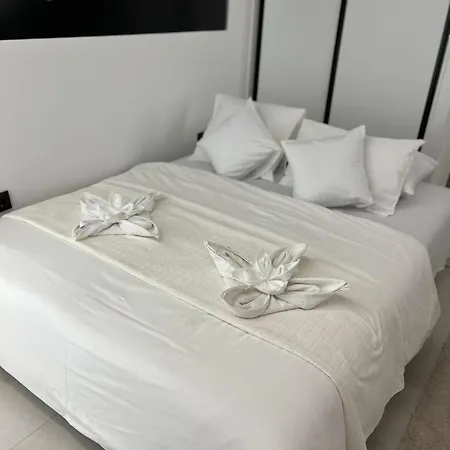 Jj Vladimira Rolovic 09 17 Kragujevac