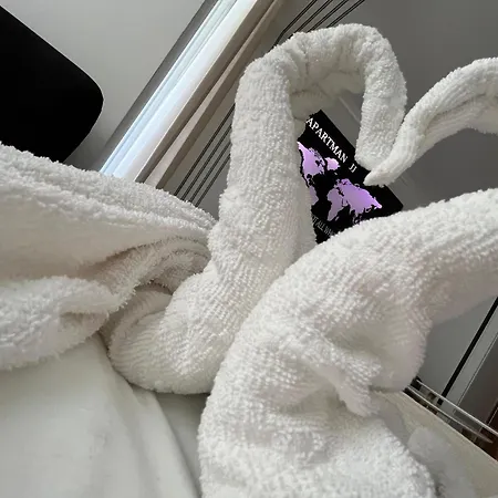 Jj Vladimira Rolovic 09 17 克拉古耶瓦茨