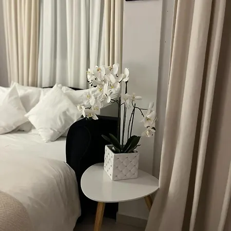 Apartment Jj Vladimira Rolovic 09 17