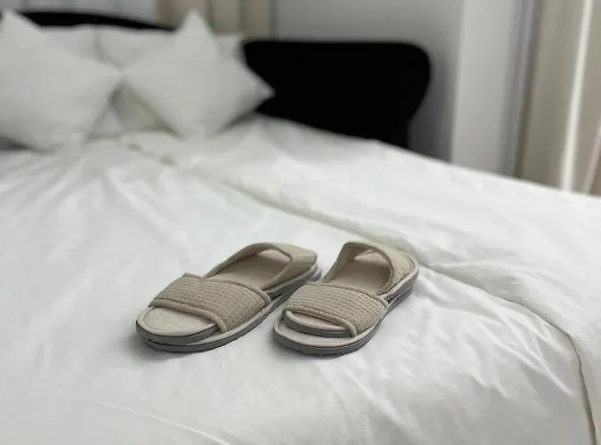 Jj Vladimira Rolovic 09 17 * 克拉古耶瓦茨