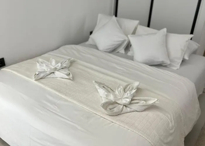 Jj Vladimira Rolovic 09 17 克拉古耶瓦茨