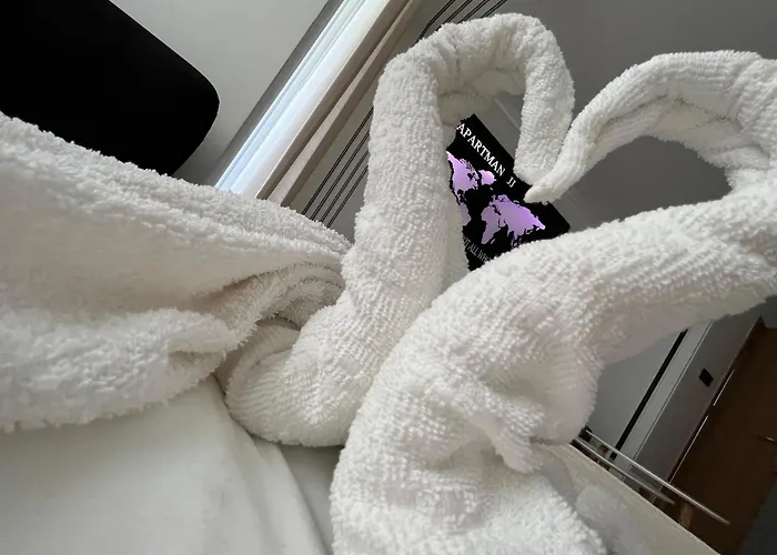 Jj Vladimira Rolovic 09 17 克拉古耶瓦茨